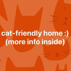 Shop info: cats, detergent, etc.